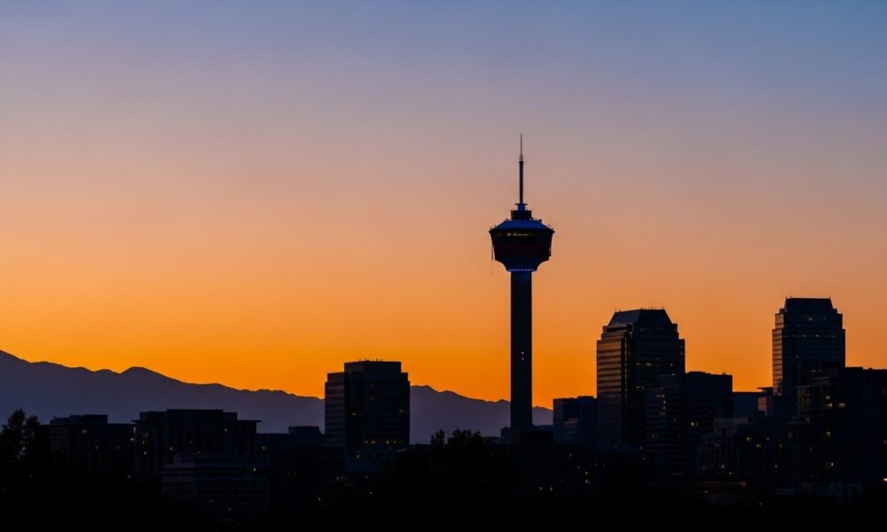 Choose a Landscaping Company