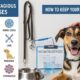10 Most Contagious Dog Diseases – How to Keep Your Dog Safe?