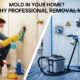 Mold in Your Home